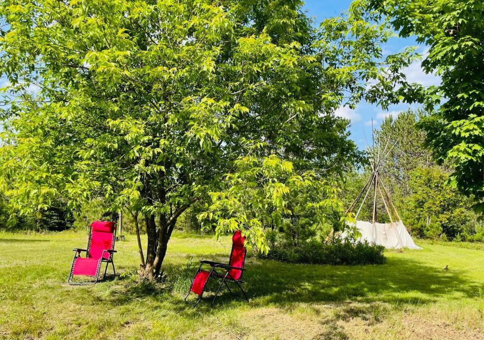 Chalets Nabu La Sacacomie - Riviere - Billard Saint-Alexis-des-Monts Eksteriør bilde